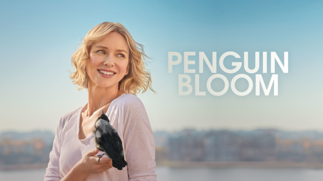 60bdc09c06bd3 thumbnail