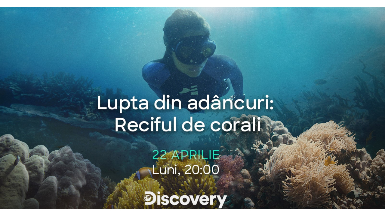 Discovery sărbătoreste Ziua Pământului cu un documentar inedit: “Lupta ...